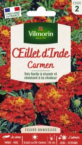 Œillet d'Inde Carmen